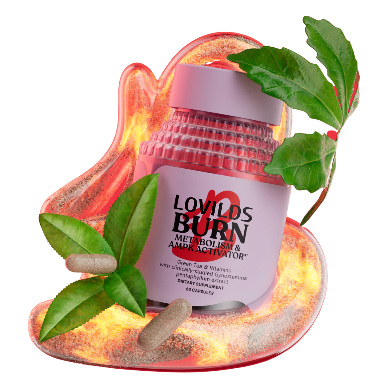 LOVILDS  Daily Sculpt Bundle